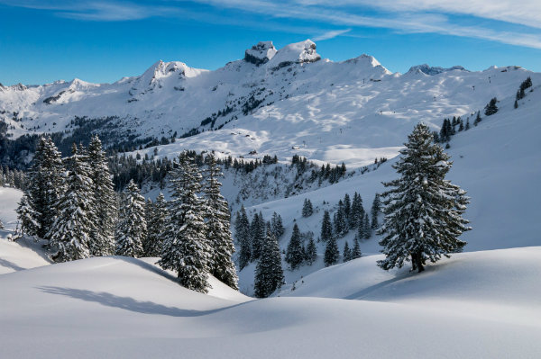 Préparer vos vacances à Vars