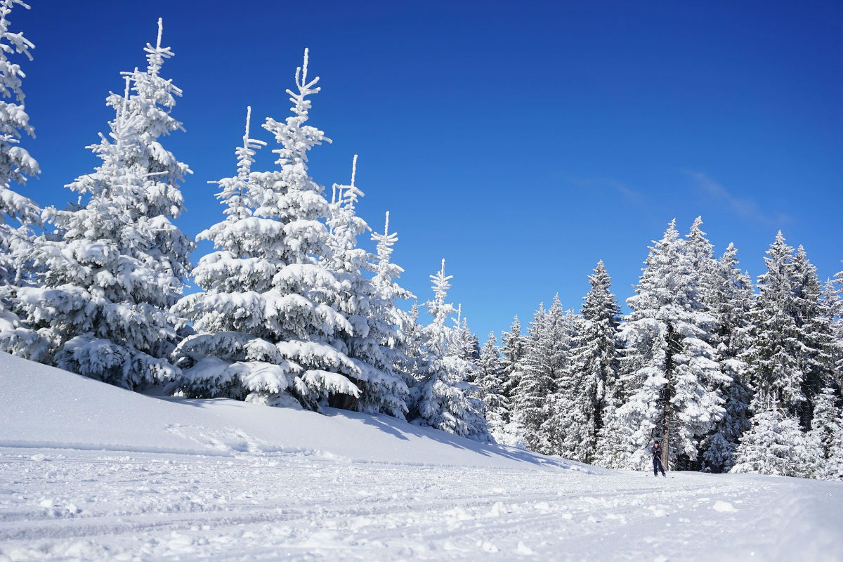 Découvrez la Plagne !