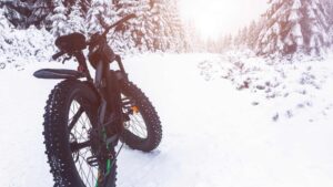 Vélo de neige