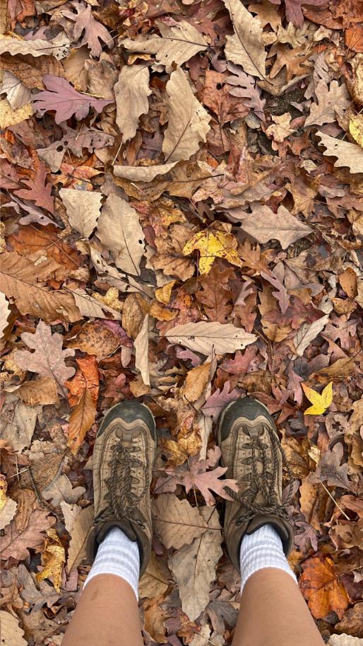 montagne marcher nature